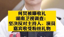 衡阳爆料主播事件视频最新,真相揭露与网络舆论风暴